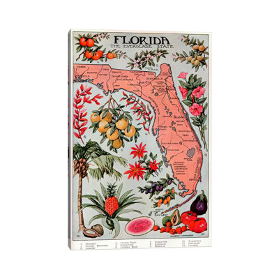 State Map Of Florida (Natural Resources) - Vintage Poster - No Frame Print on Canvas