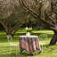 Nappe Pansy-15215595-107096557
