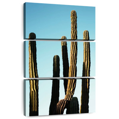 Cactus dorés Harnek