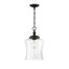 Luminaire suspendu simple en forme de cloche à 1 lumière Pinedale-1390480724