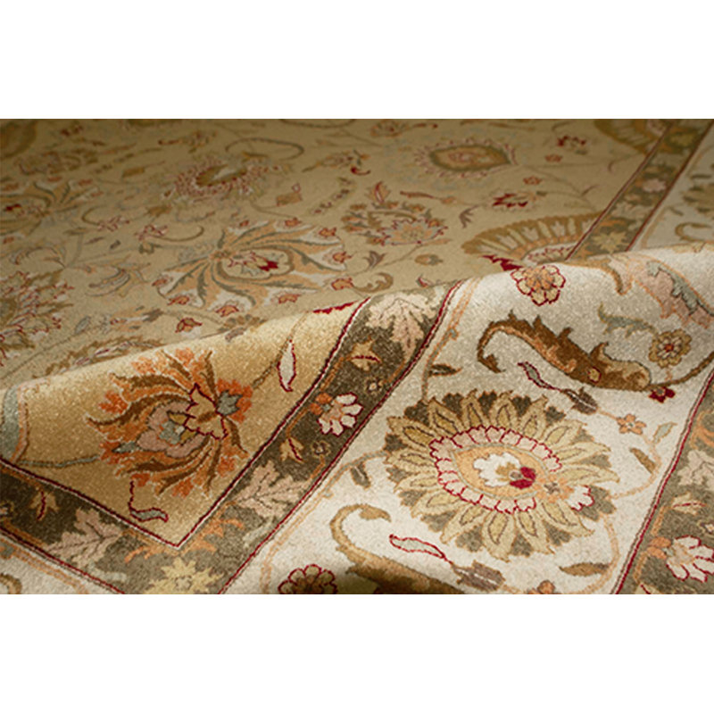 Wool Oriental Area Rug in Gold