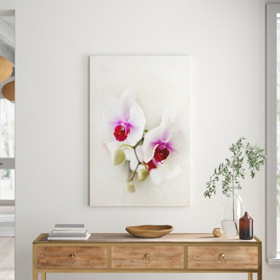 Sylvia Cook - Wrapped Canvas Print