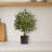 Olive Artificial Tree