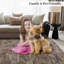 Tapis de couloir 2 x 6 x 2 po Tapis de couloir lavable Tapis de couloir contemporain-1693616214