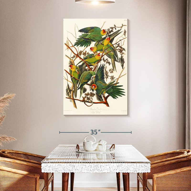 Brampt Carolina Parakeet, 48" H x 32" W