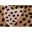 Wool Indoor Rug