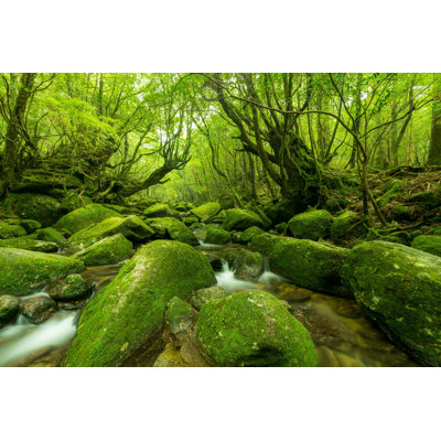 Small Stream