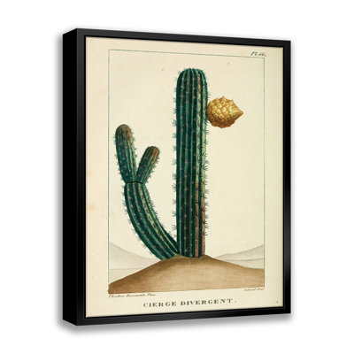 " Vintage Cactus "