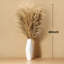 12 tiges de 40 pouces de hauteur avec décorations de Pampas - grande herbe de Pompas séchée duveteuse pour vase de sol - mariage rustique, fête de naissance, fête, maison de campagne, décoration boho