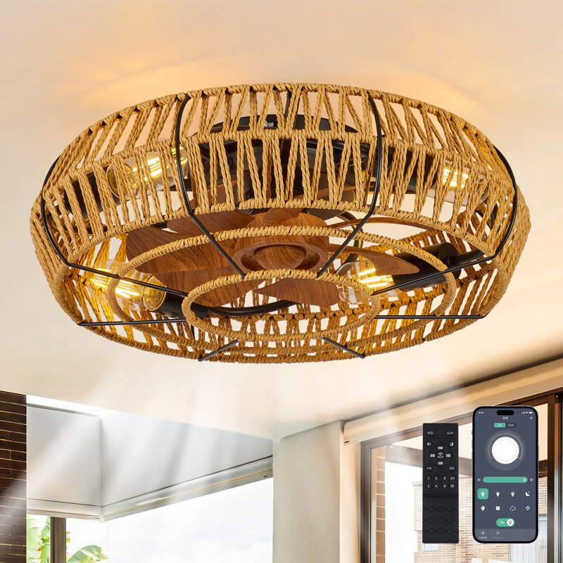 Ventilateur de plafond 19 po noir avec cage Boho