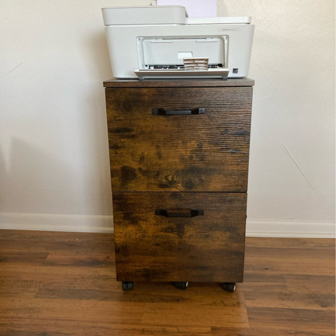 Cambrie 16.7'' Wide 2 -Drawer Mobile File Cabinet - Rustic Brown/Black