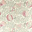 Cantaloupe Fabric-65400792