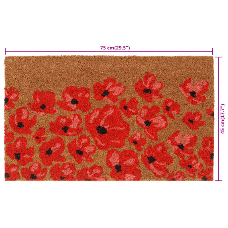 Andjoua Non-Slip Indoor / Outdoor Doormat, 45cm W x 75cm L
