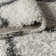 Cantera Power Loom Cream Rug