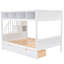 Lit simple superposé au dessus d'un lit double avec tablettes, escalier de rangement et rangement à 2 tablettes blanc-118036460