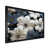 Black Single Picture Framed