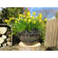Kylemore Hand-Painted Pot Planter-34359775