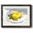 " Lemons On A Plate I "-528883075