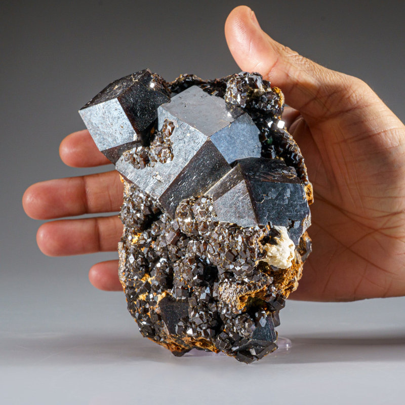 Melanite Garnet Crystal from Ojos Espanoles Mine (Mina La Prieta Linda), Chihuahua, Mexico