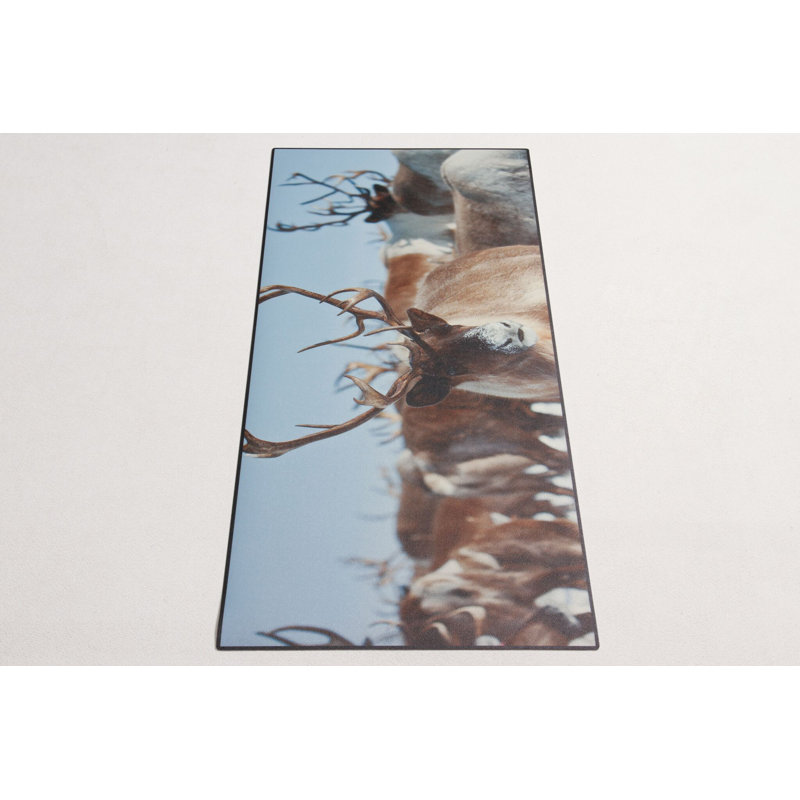 Monissa Area Rug, Runner 50 x 120cm