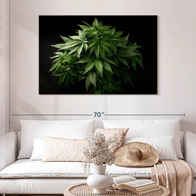 Plante de marihuana