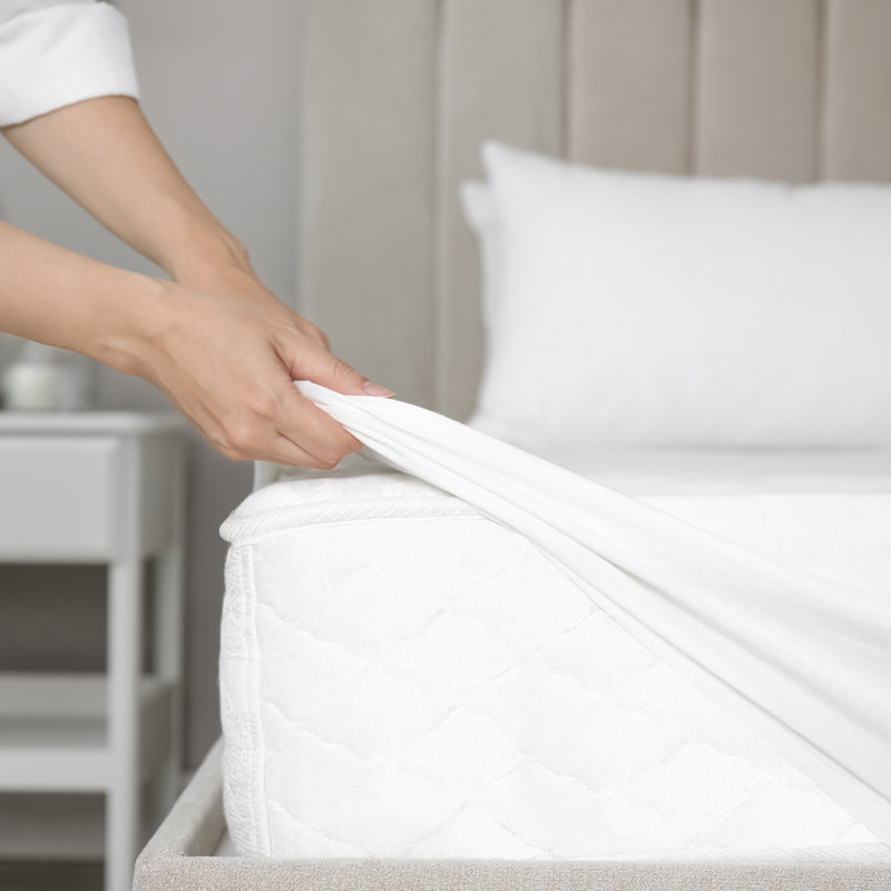 Arsuite Breathable Sweat Proof Cotton Cover Mattress Protector, Full, White, Queen