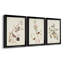 Pl. «194 Canadian Titmouse», ensemble de 3 reproductions d'art sur toile encadrées-1877724125-1877724126