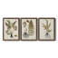 Fern Botanical IV - Ensemble de 3 peintures sur toile encadrées-1362442883-1362442888