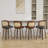 26" Upholstered Cane Back Counter & Bar Stool-1592099916-1599045978