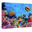 «Coral Colony on Reef Égypte», impression-34275649-34275623