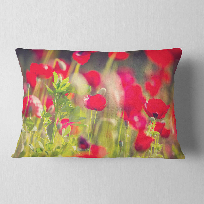 Coquelicots rouges sur fond vert - coussin à imprimé floral