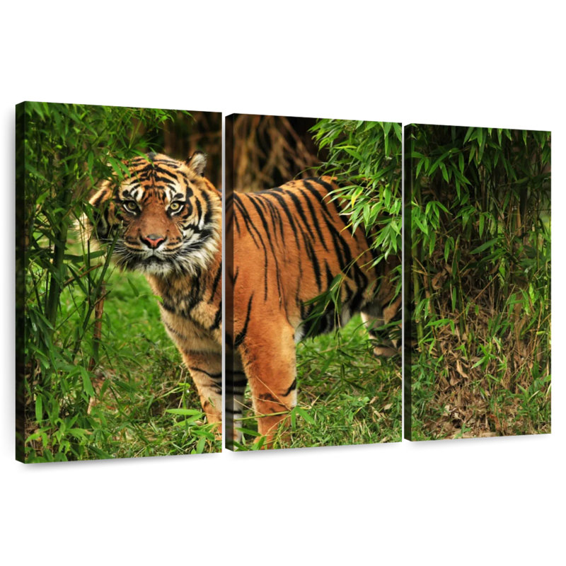 Brampt Jungle Bengal Tiger, 20" H x 33" W