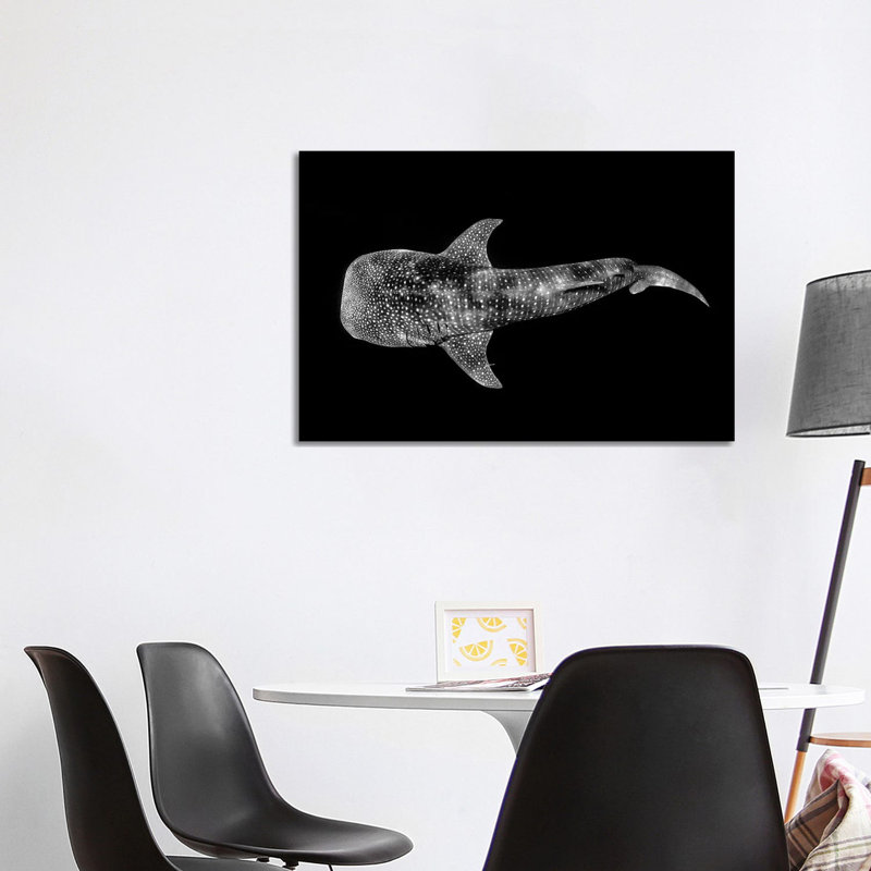 Whale Shark Ningaloo Reef by Jordan Robins - Wrapped Canvas Print, 101.6 cm H x 66.04 cm W x 1.91 cm D