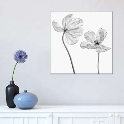 Same Tulip: Front- and Backview 1 Piece Wrapped Canvas Wall Art