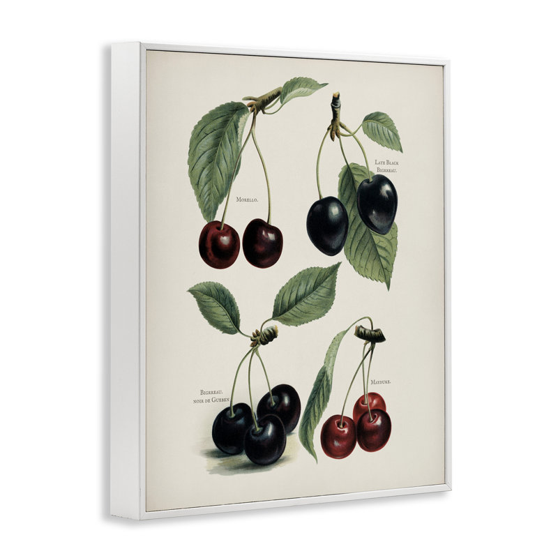 Giclée encadrée par Natural, H 20 po x l 16 po, Estampe numérique encadrée blanc bord de mer