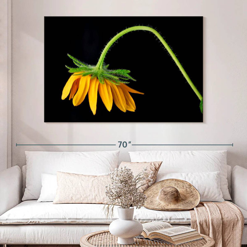 Tournesol Harnek