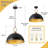 Worthing 1-Light 2-Piece Matte Black Dome Pendant-1739485584