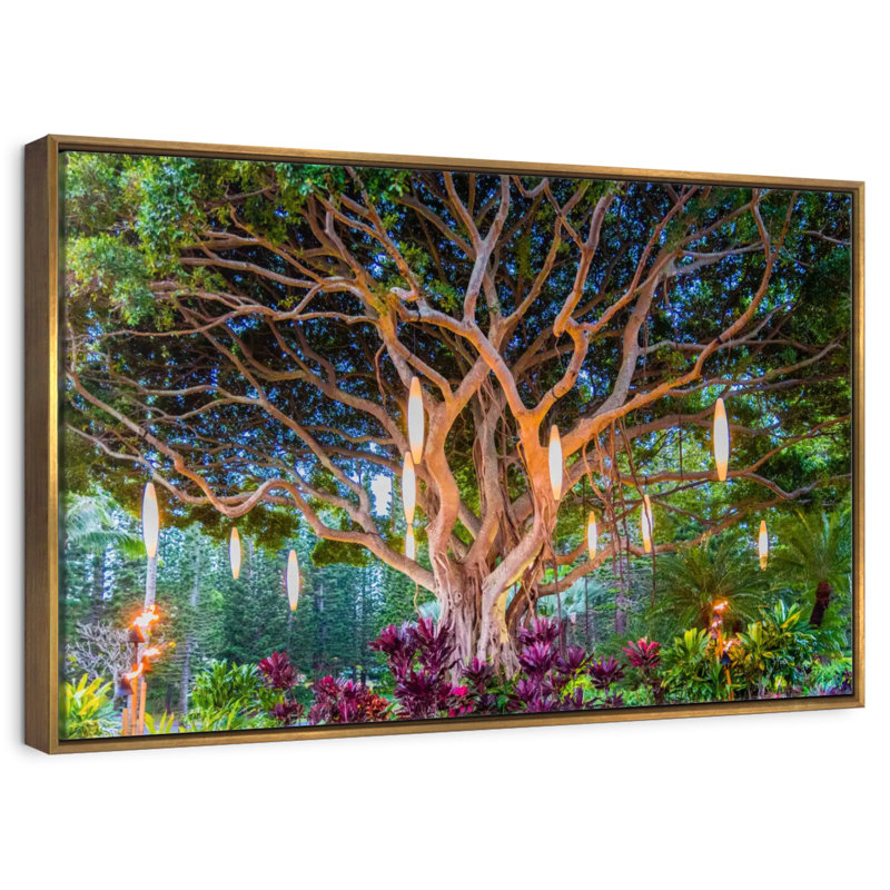 Banian hawaïen, Cadre flottant doré, 37 po x 25 po