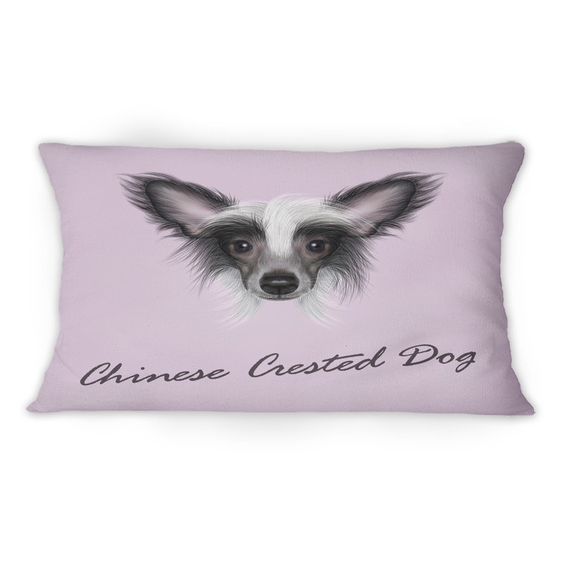 Portrait d'un chien chinois à crête sur un coussin décoratif rose à imprimé traditionnel