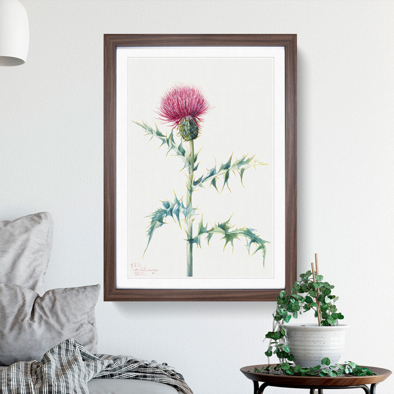 Thistle by Mary Vaux Walcott - Picture Frame Painting, 36cm H x 27cm W x 2cm D, Walnut