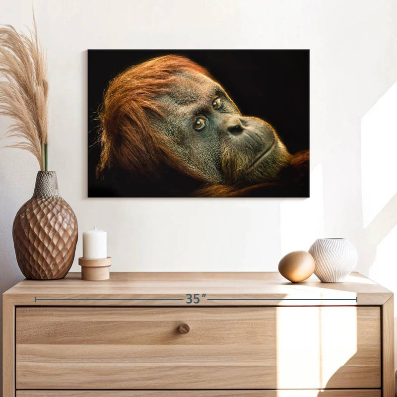 Brampt Dramatic Orangutan, 16" H x 24" W