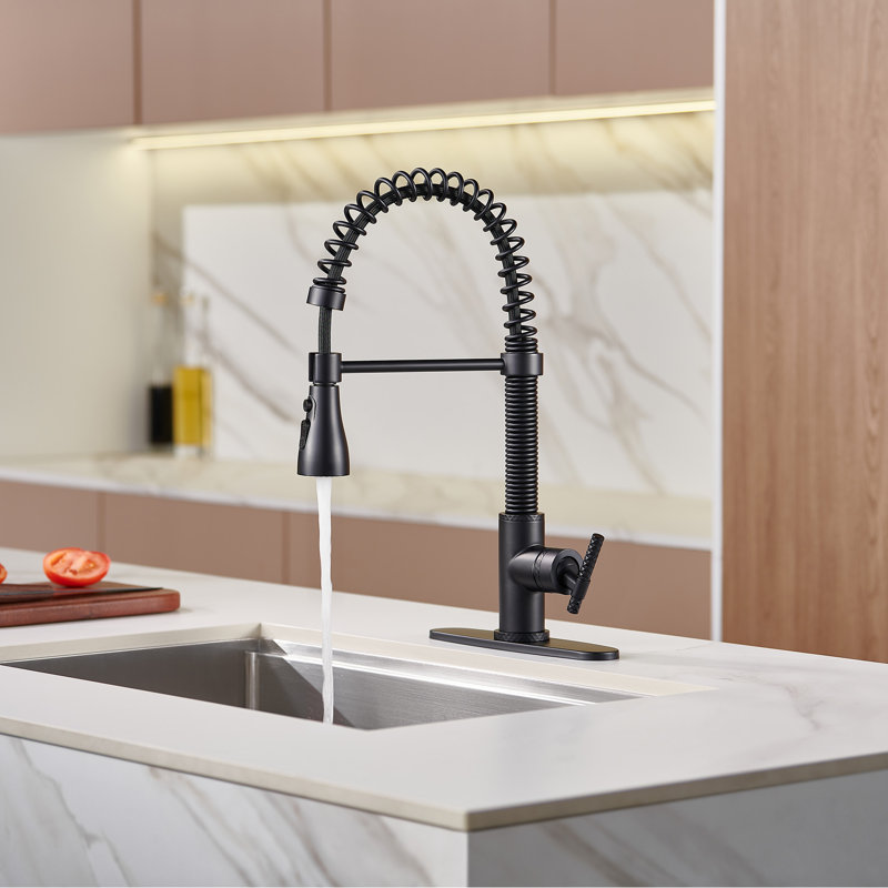 Robinet de cuisine à bec rétractable à ressort 1,8 GPM avec plaque de pont Bolden, Noir mat