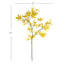 Ensemble de 2 branches 41 po Barringer-129903250