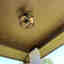Customer photo 4 of 4