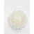 Blanc est en rupture de stock