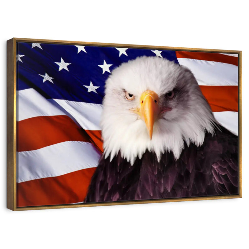 Drapeau américain, aigle à tête blanche, Cadre flottant doré, 13 po x 9 po