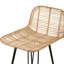 Broomall Counter Stool with Metal Frame