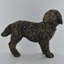 Gelinkaya Bronze Cockapoo Sculpture Figurine