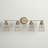 Lisamaria 4 - Light Dimmable Vanity Light