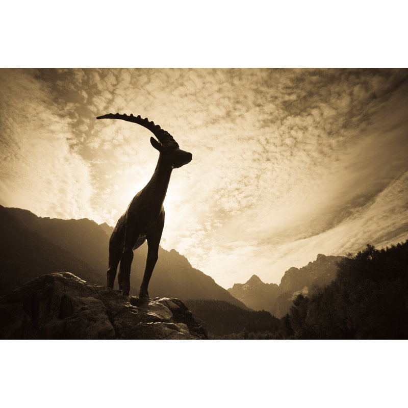 Mountain Ibex by MistikaS - No Frame Print on Canvas, 81cm H x 122cm W